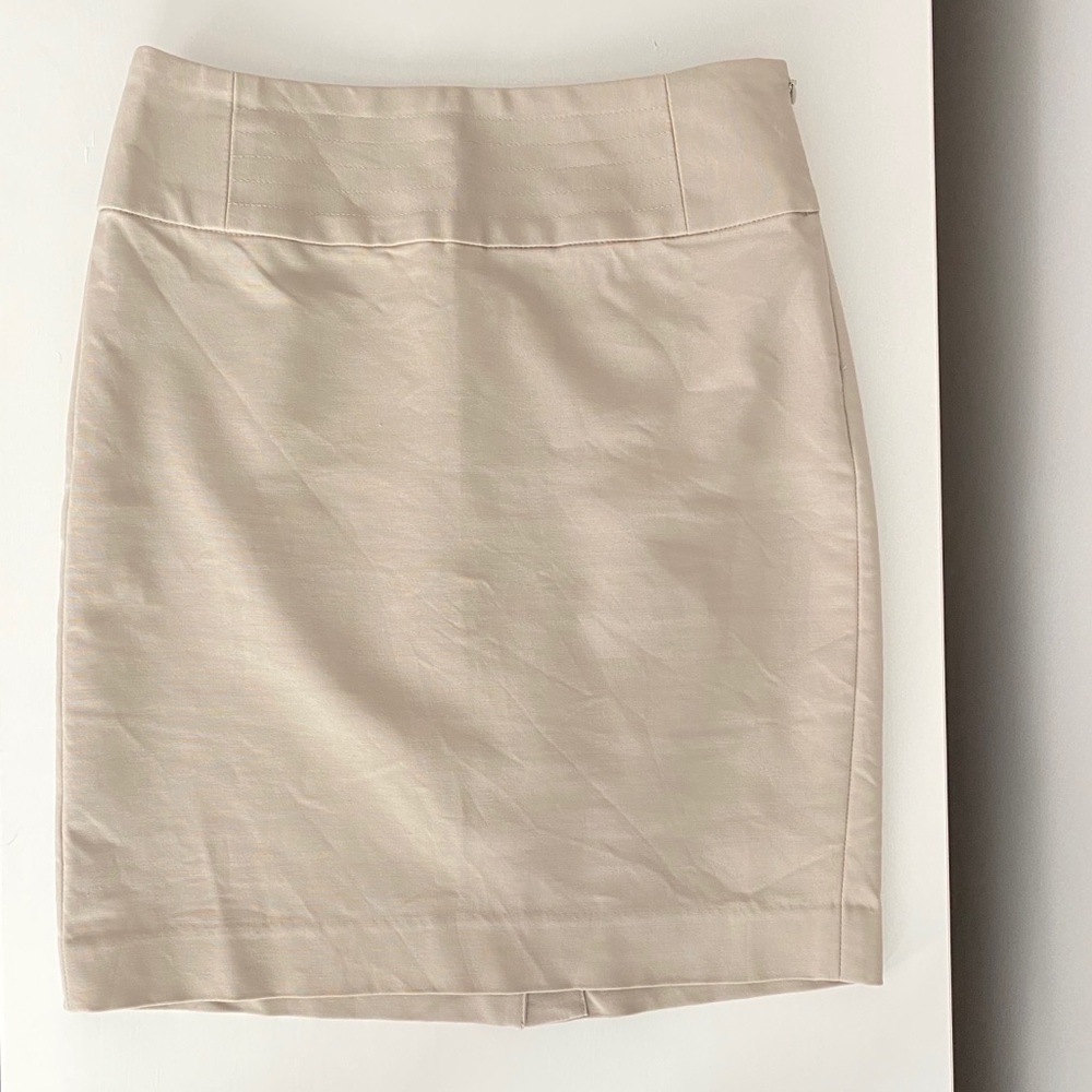 Banana Republic Skirt